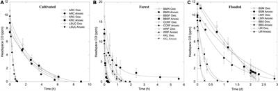 Putative Nickel-Dependent Anaerobic Carbon Monoxide Uptake Occurs Commonly in Soils and Sediments at Ambient Temperature and Might Contribute to Atmospheric and Sub-Atmospheric Carbon Monoxide Uptake During Anoxic Conditions